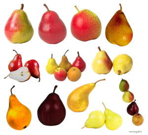 Pears clipart PNG image-3457